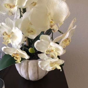 Meet your Posher, Ebony